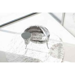 copy of Fama Arianne Love